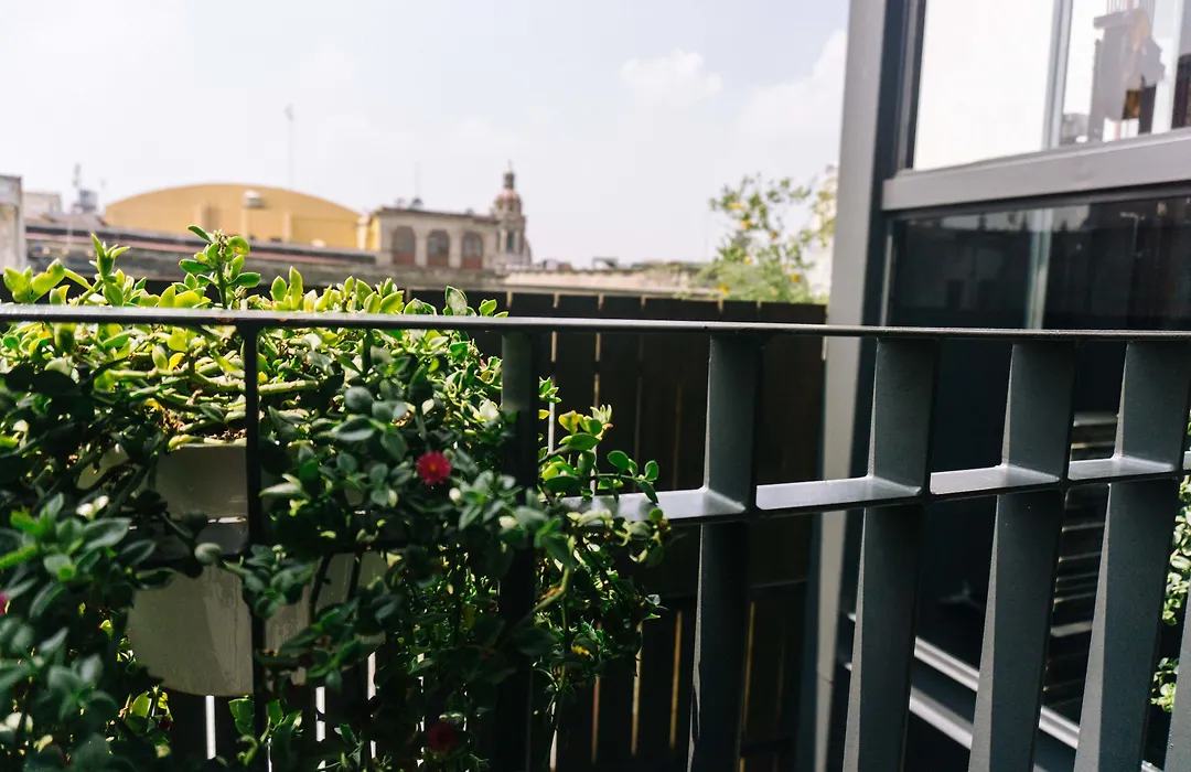 Myplace Zocalo-1